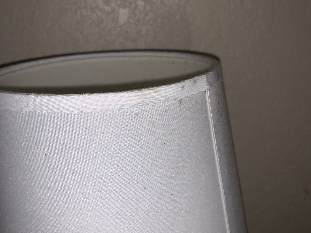 Red Roof Inn Tupelo主图