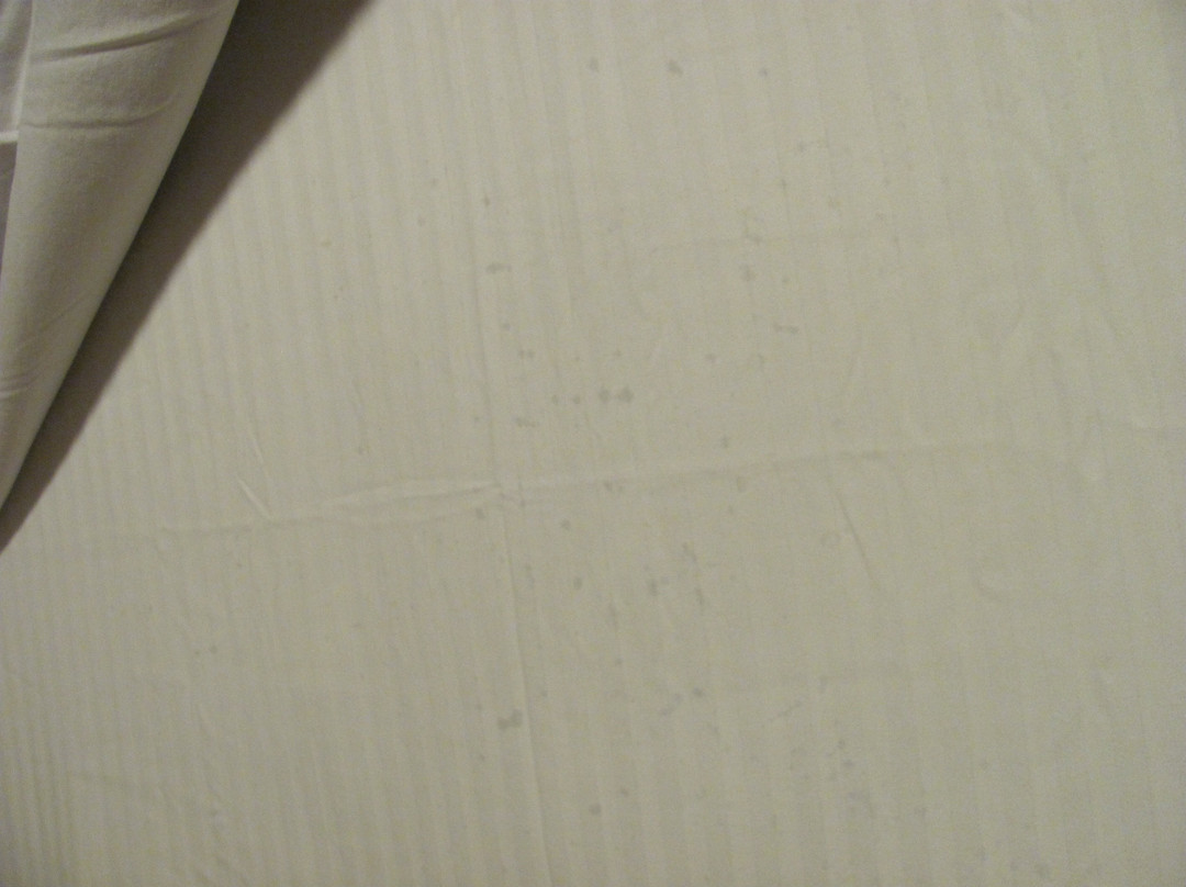 Green Gables Motel & Suites主图