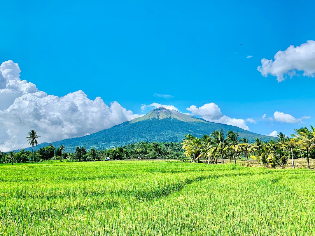 Mount Kanlaon景点图片