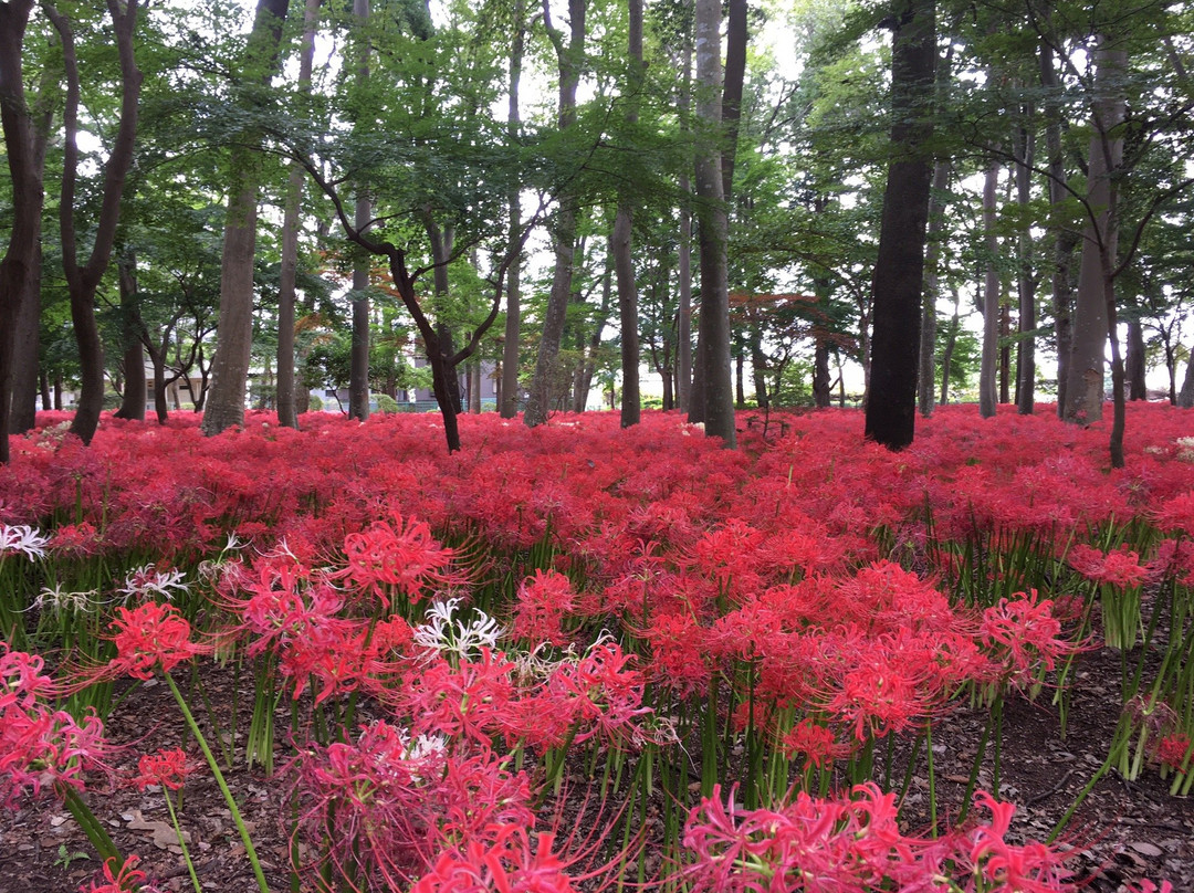 Soko-in Temple-松户市必去景点