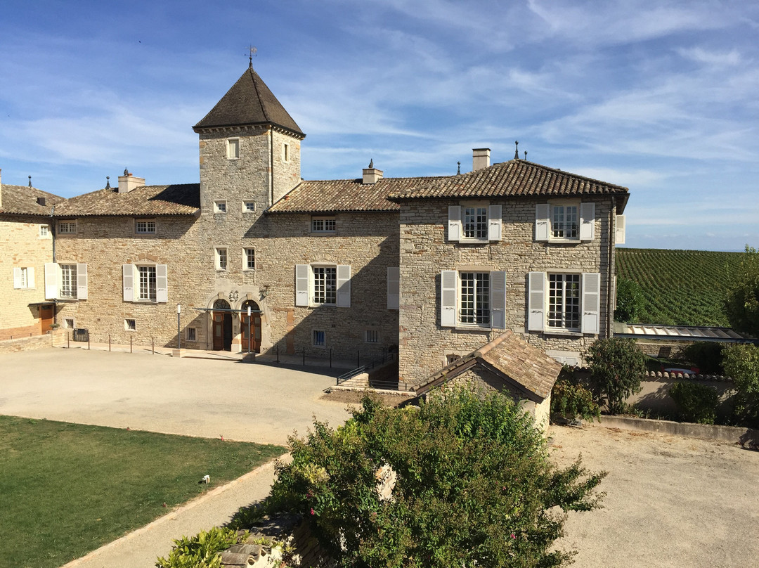 贝萨伊城堡酒店主图