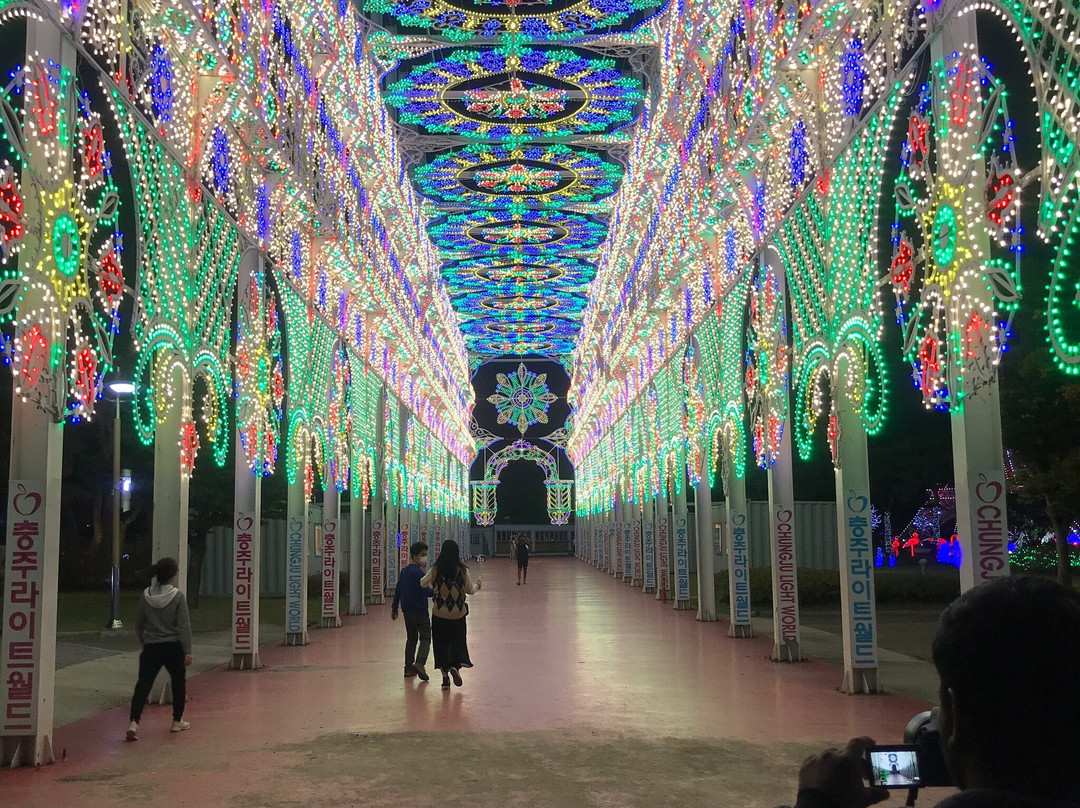 Chungju Light World-忠州市必去景点