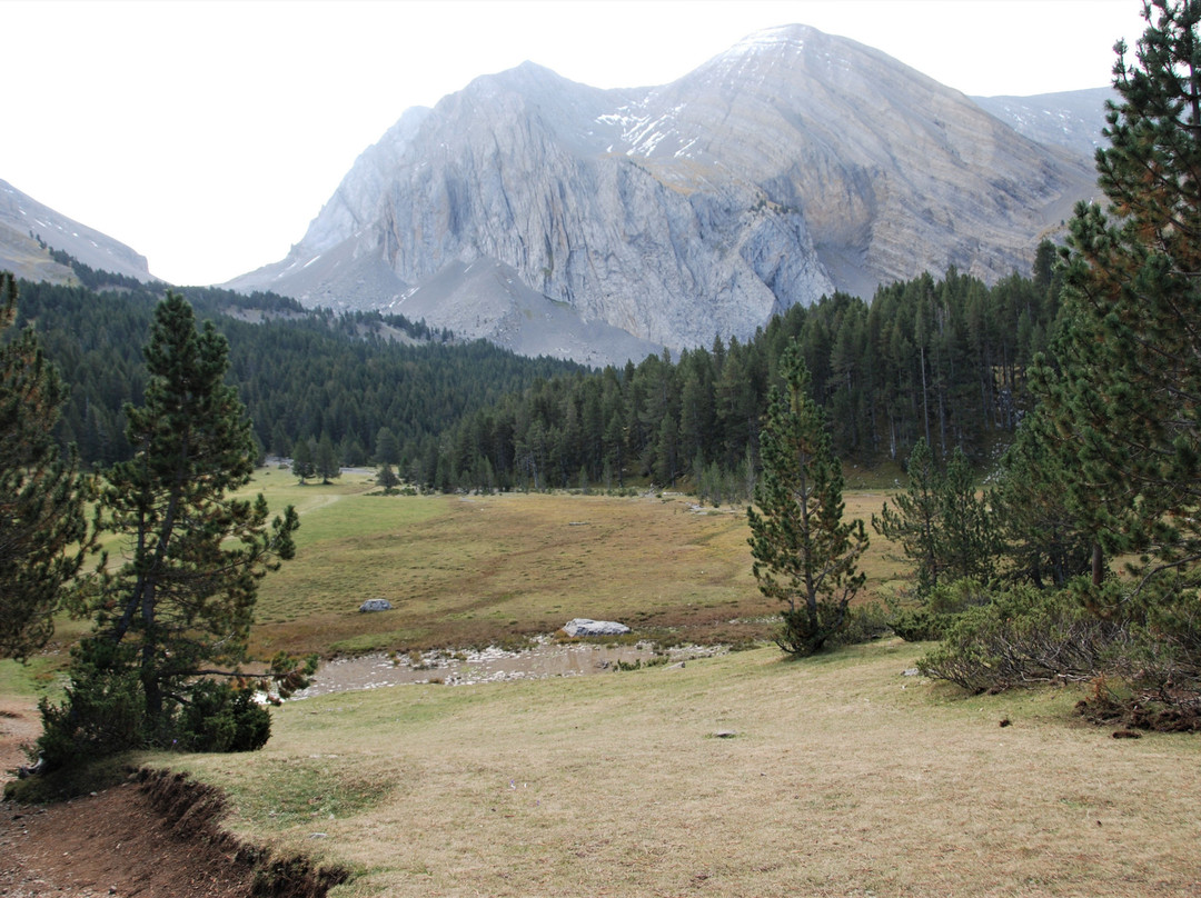Lago Ibon de Plan景点图片