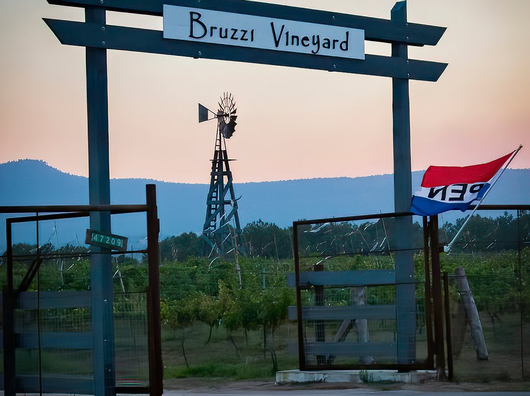 Bruzzi Vineyard-Young必去景点