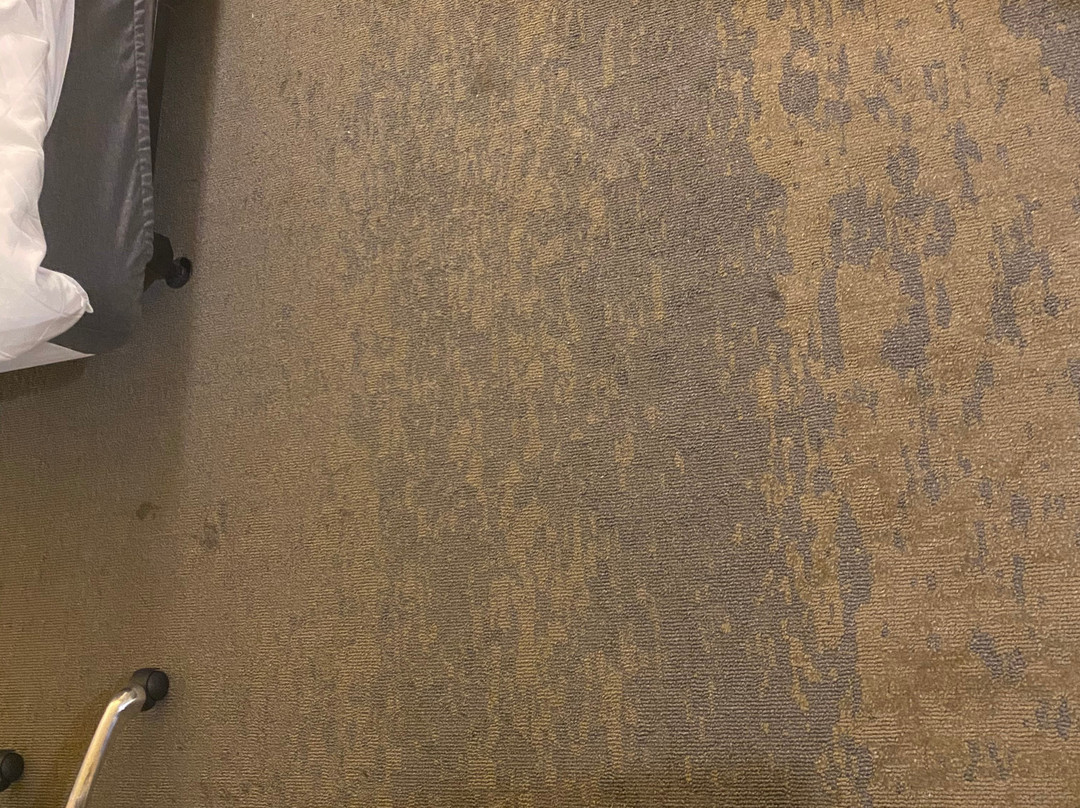 Holiday Inn & Suites Savannah Airport - Pooler By IHG主图