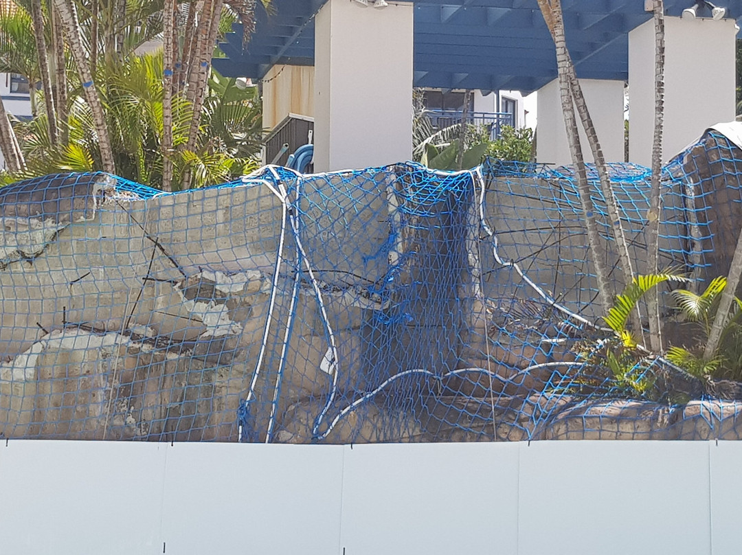 黄金海岸卡里普索广场盛橡套房酒店主图