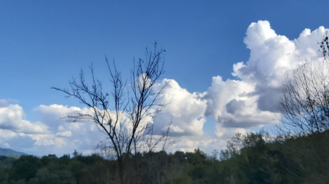 Parco regionale di Montevecchia e della Valle del Curone景点图片