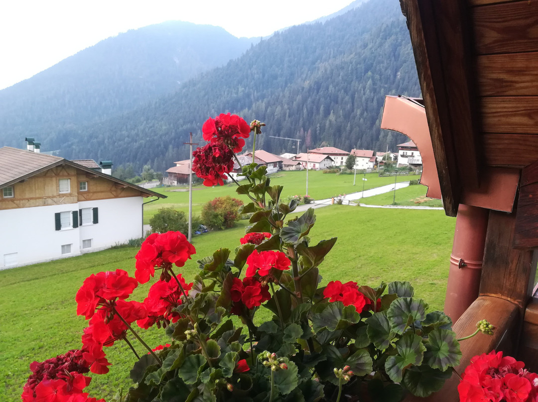 B&B Affittacamere Larix主图