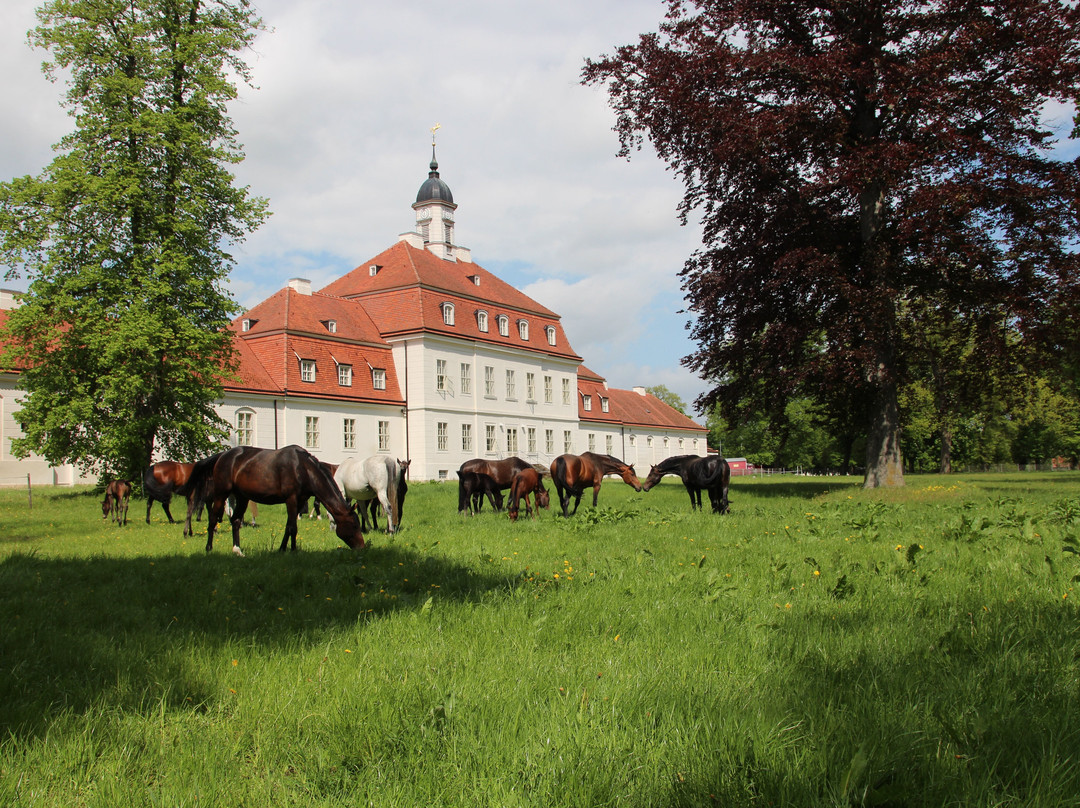 Brandenburgisches Haupt- und Landgestüt-Neustadt (Dosse)必去景点