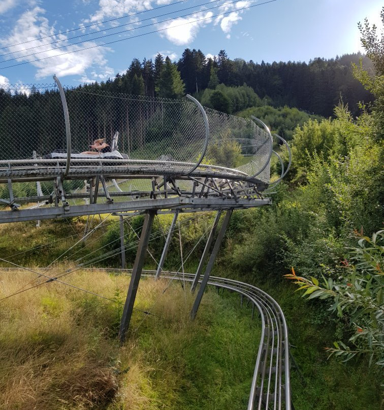 Sommerrodelbahn Gutach景点图片