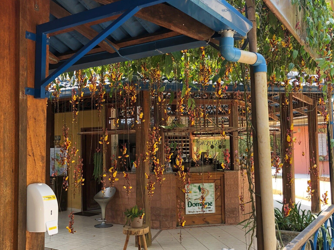 Chez Domaine - Hospedagem Rural Orgânica主图