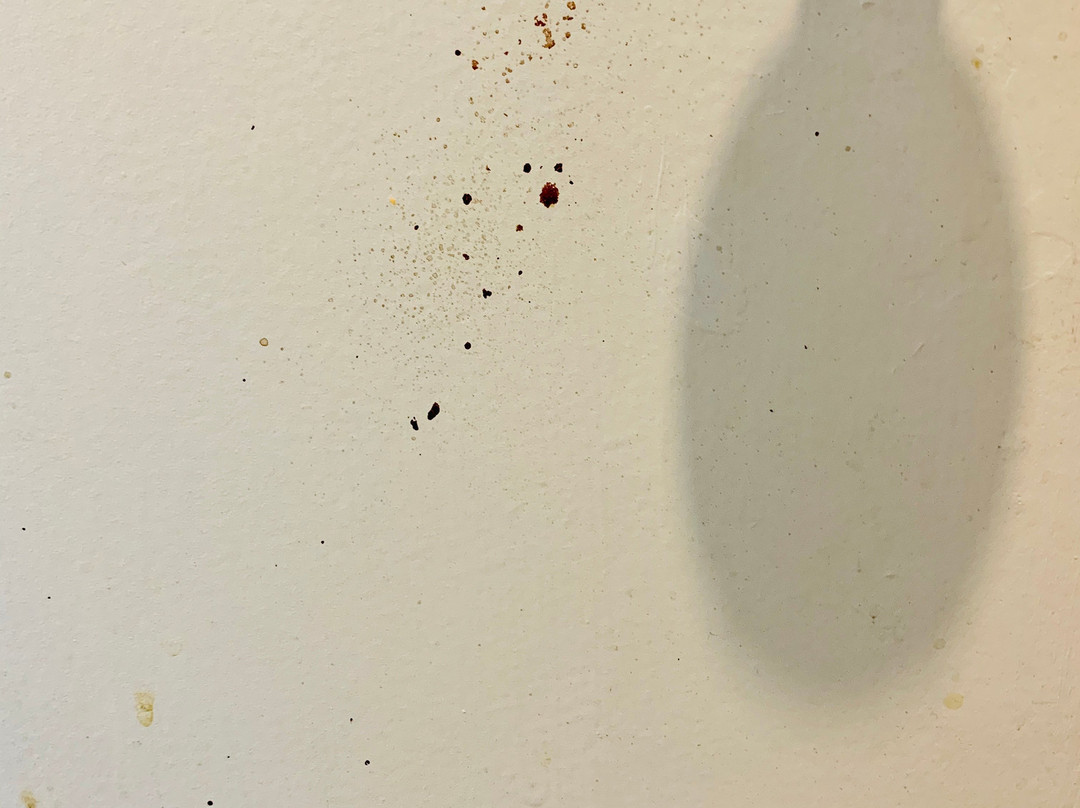 M Star Hotel Jackson主图