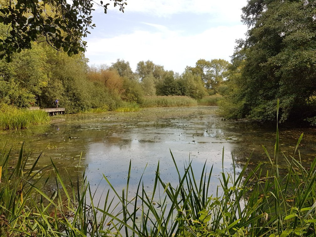 Woods Mill Nature Reserve景点图片