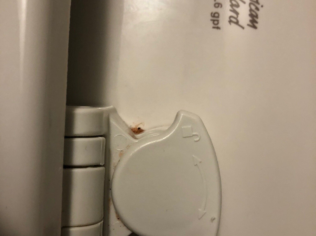 Drury Inn & Suites Birmingham Grandview主图