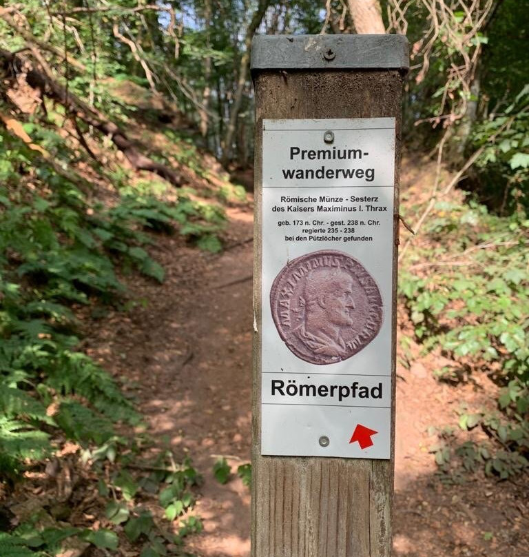 Villa Vontenie主图