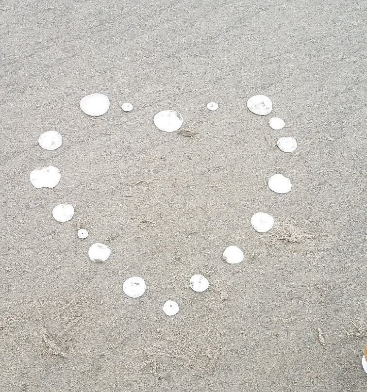 Manzanita Beach-Manzanita必去景点