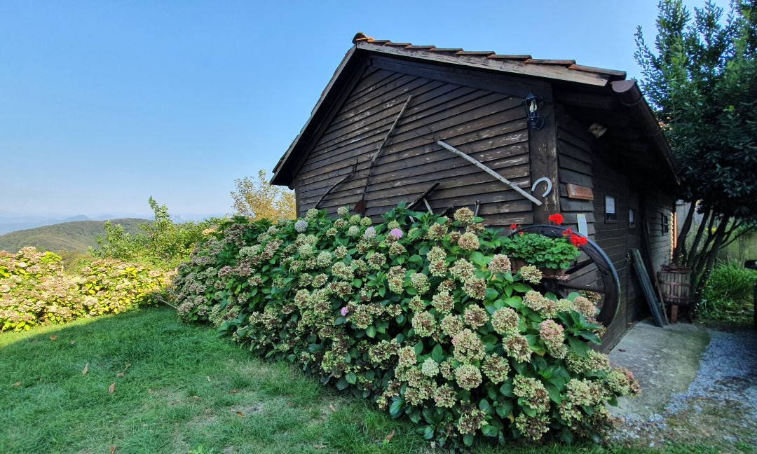 Fraconalto旅游攻略图片