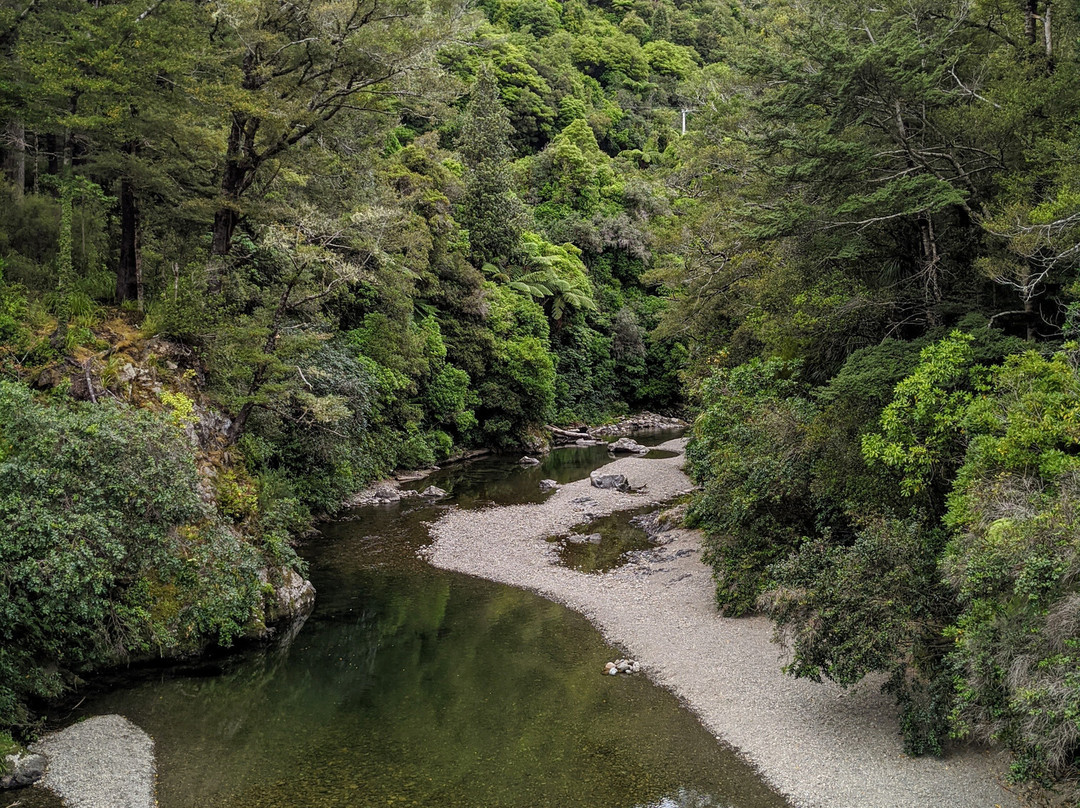 Kaitoke Regional Park景点图片
