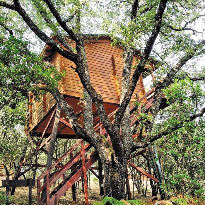 Ecolodge De Cabañeros