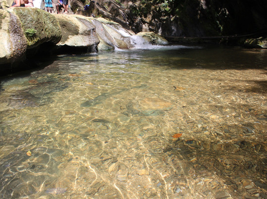 Earth Nation Events-特立尼达必去景点