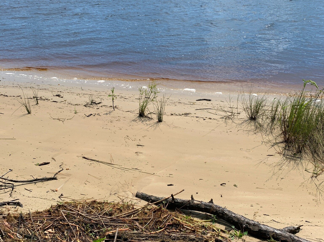 Ochlockonee River State Park-Sopchoppy必去景点