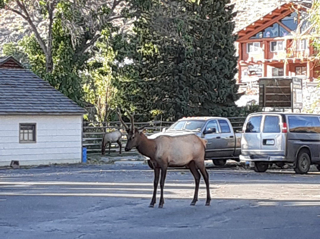 Rivers Edge Mountain RV Resort