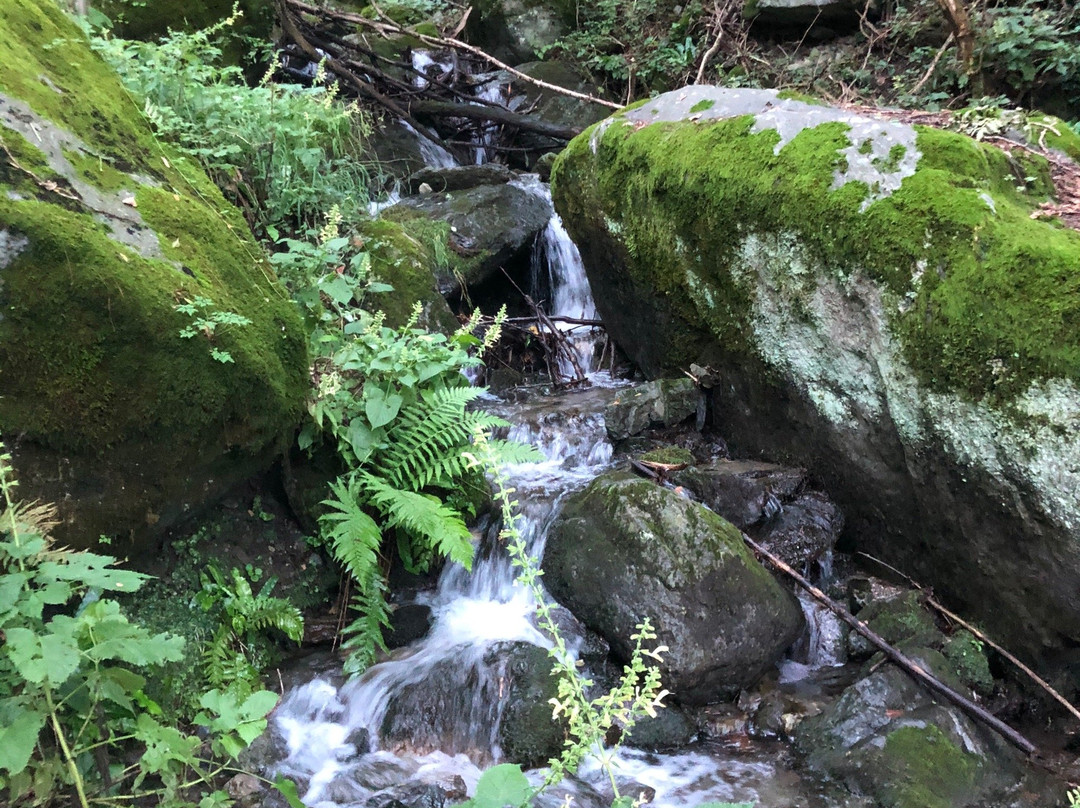 Albergo Breglia主图