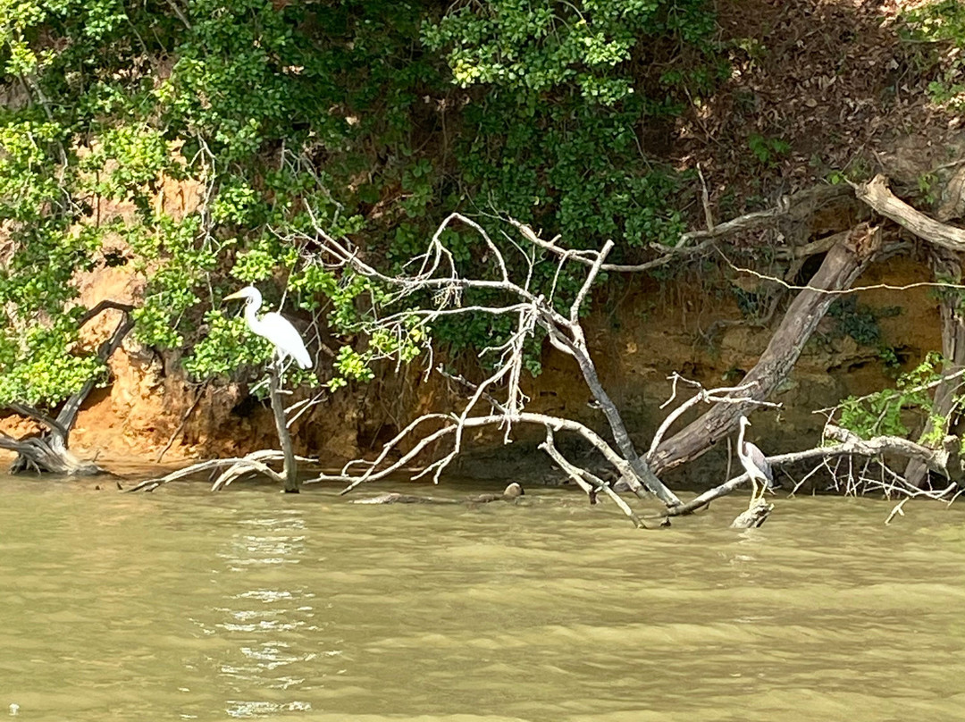 Windsor Castle Park-Smithfield必去景点