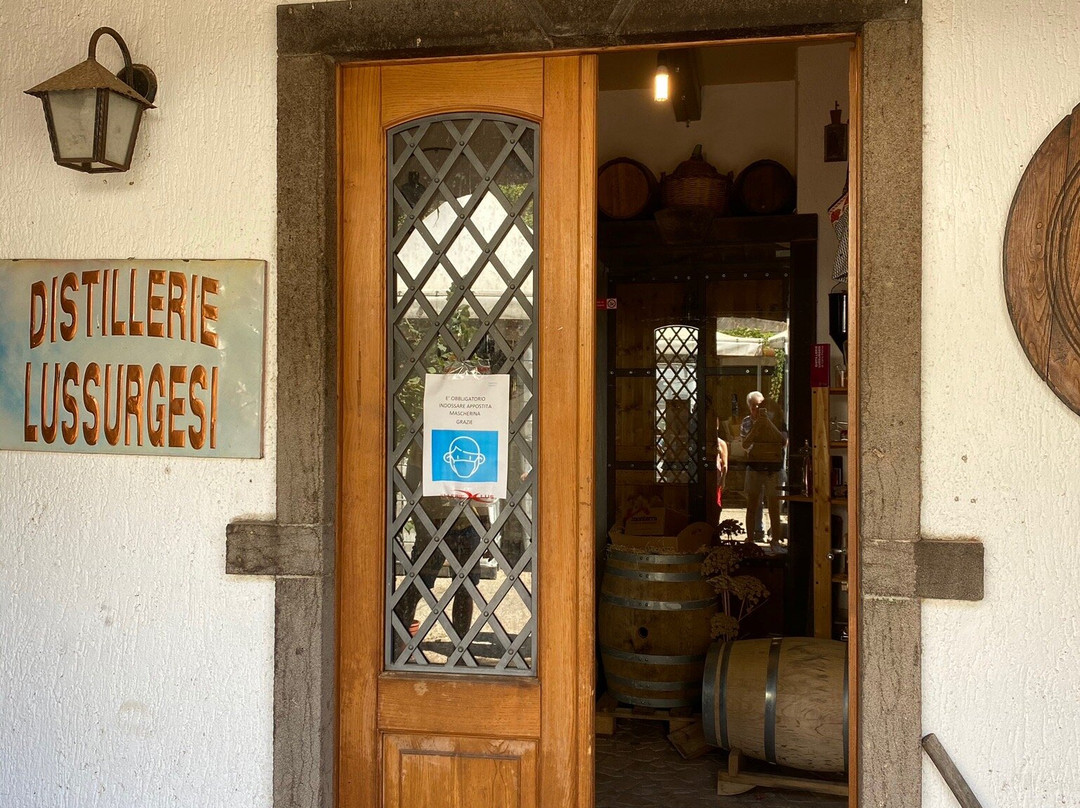Distillerie Lussurgesi-Santu Lussurgiu必去景点