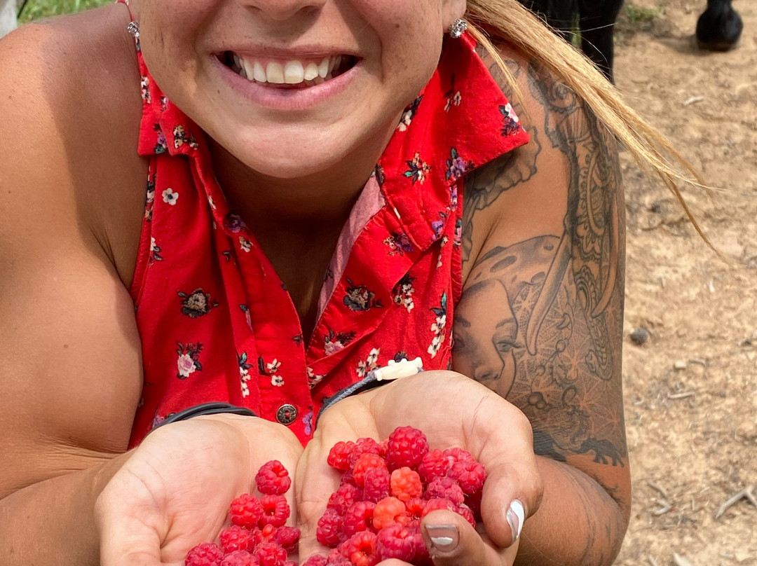 Drowsy Water Ranch主图