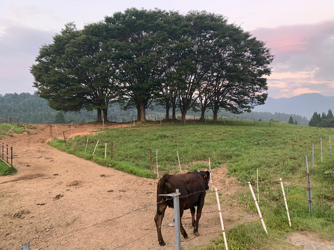 Gassan Kogen Ranch-鹤冈市必去景点