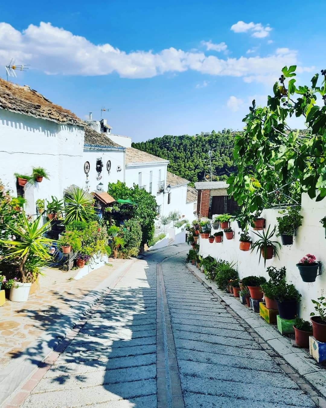 Casa Higueras Bed & Breakfast-浴室
