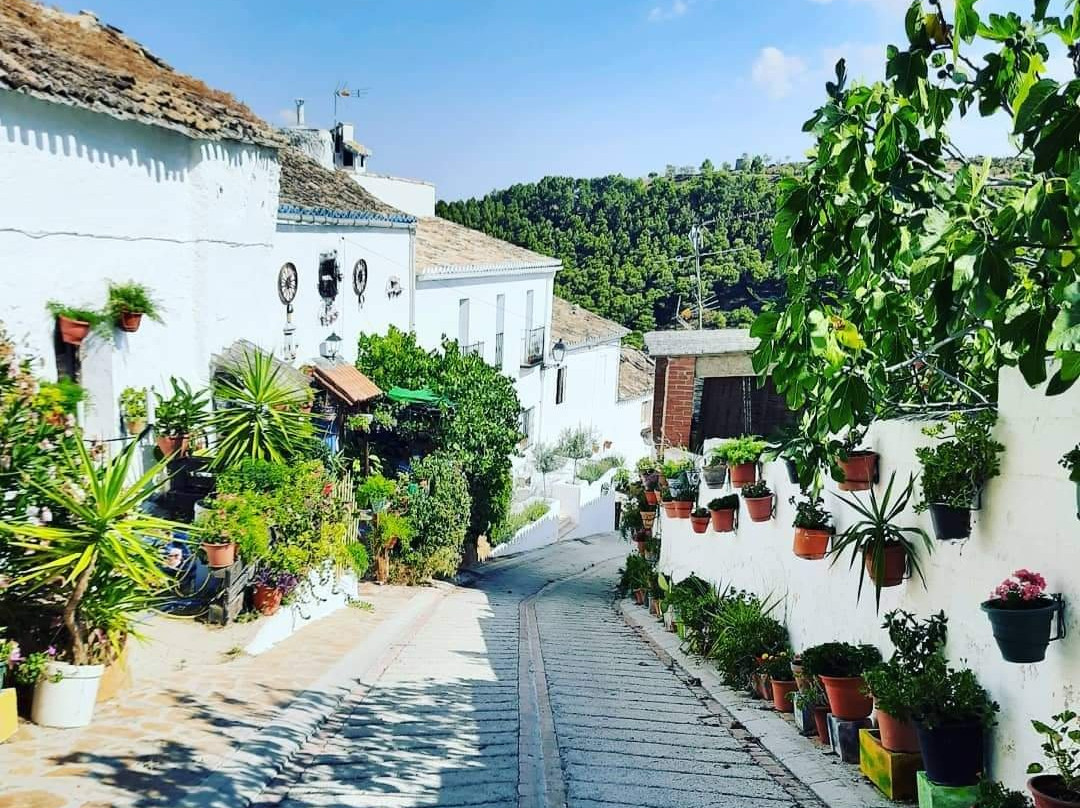 Casa Higueras Bed & Breakfast主图