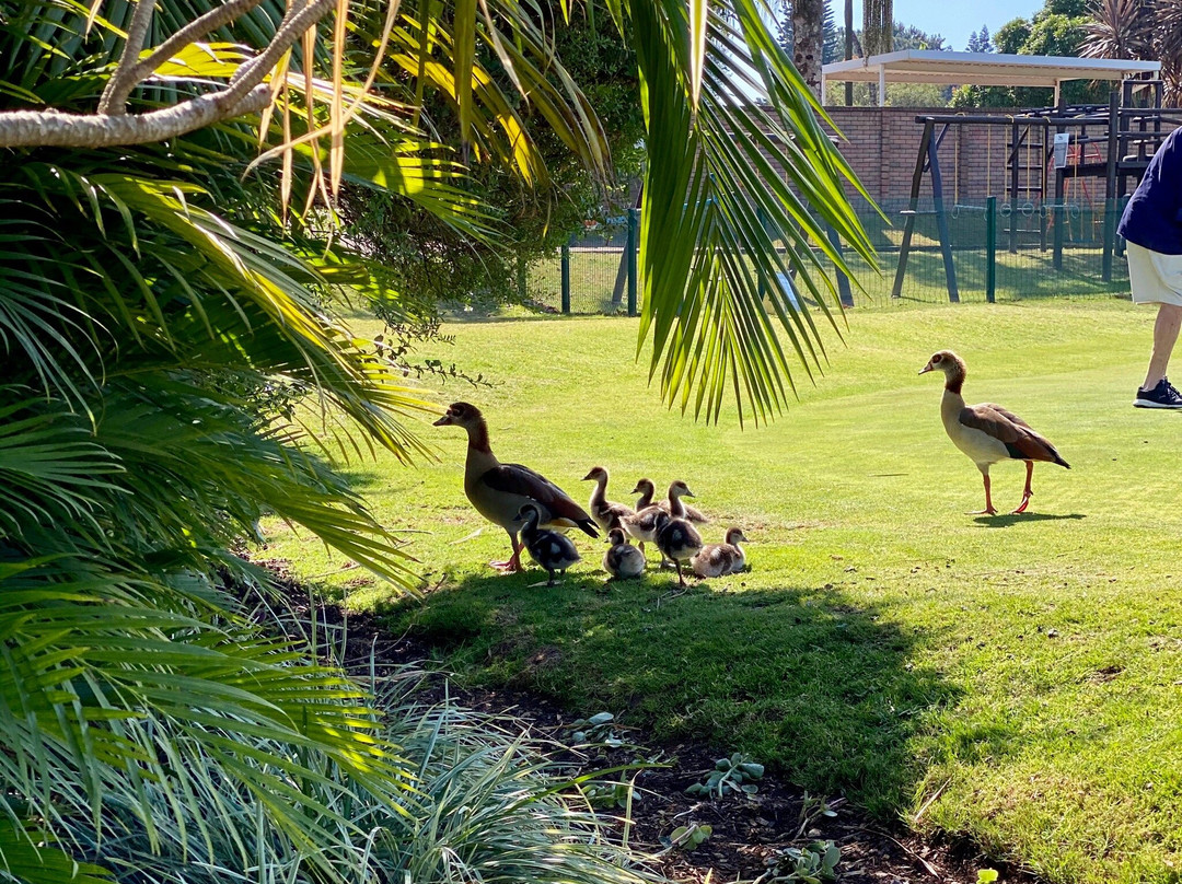 Kloof Country Club-Kloof必去景点
