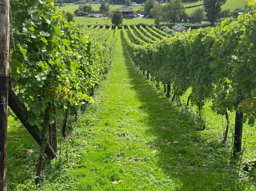 Fenny Castle Vineyard景点图片