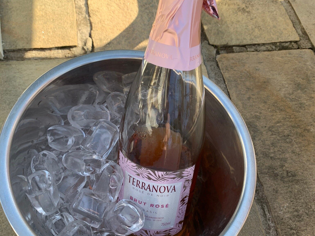 Mata Atlantica Park Hotel主图