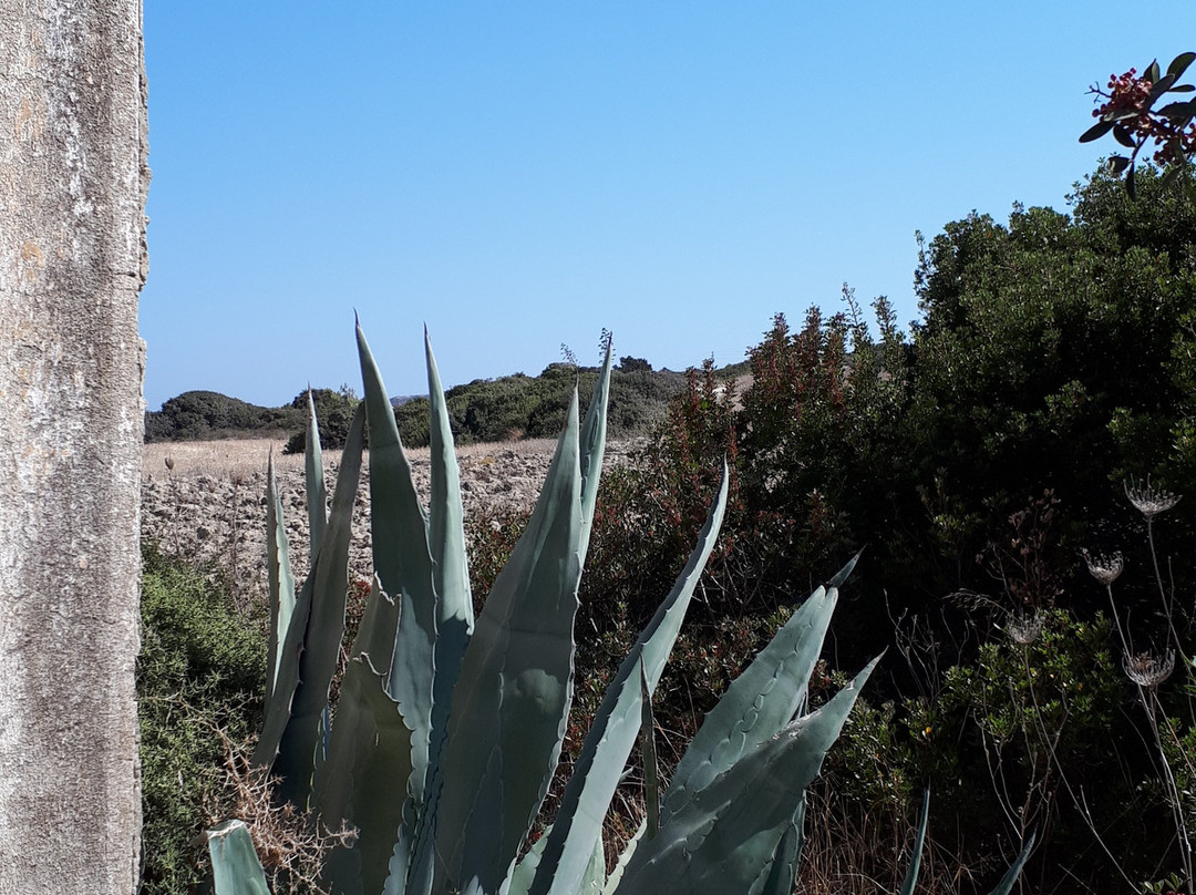 Old Silk Factory-Kattavia必去景点