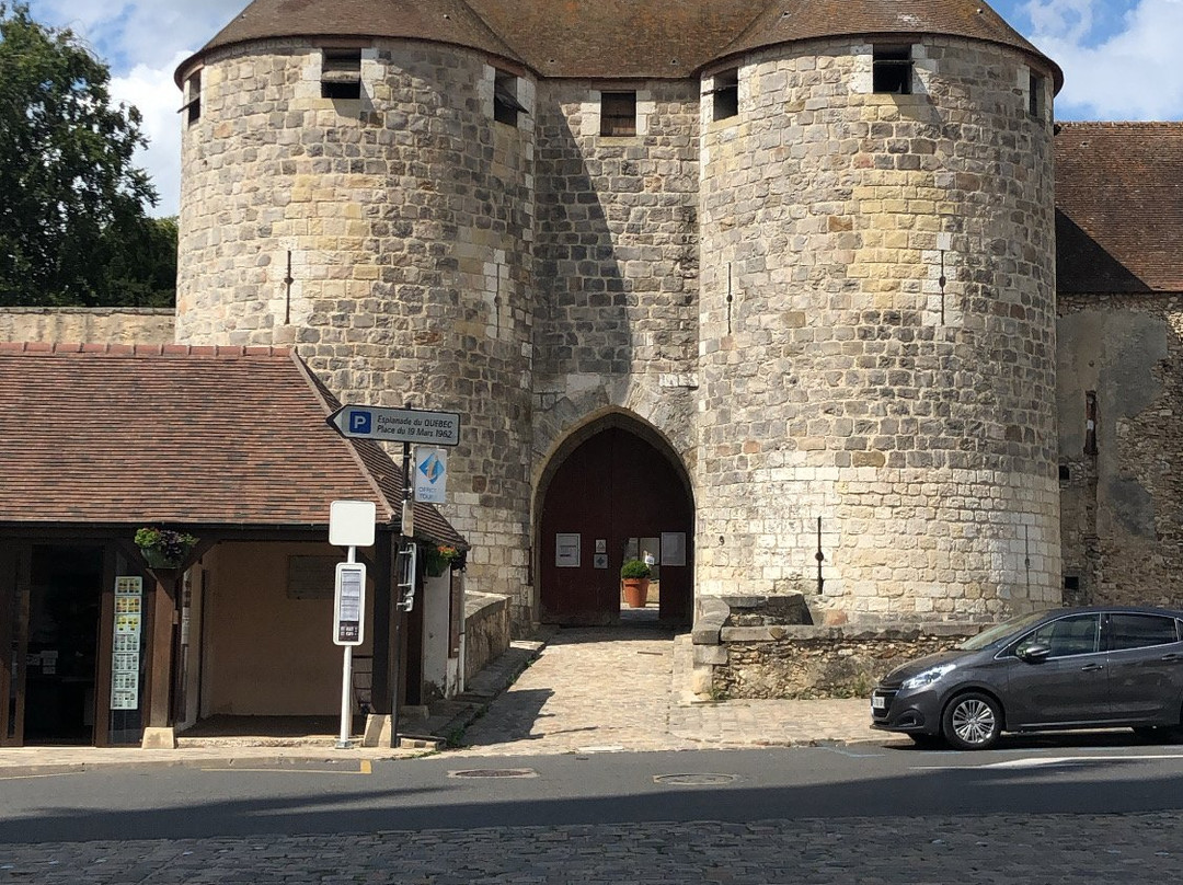 Château de Dourdan景点图片