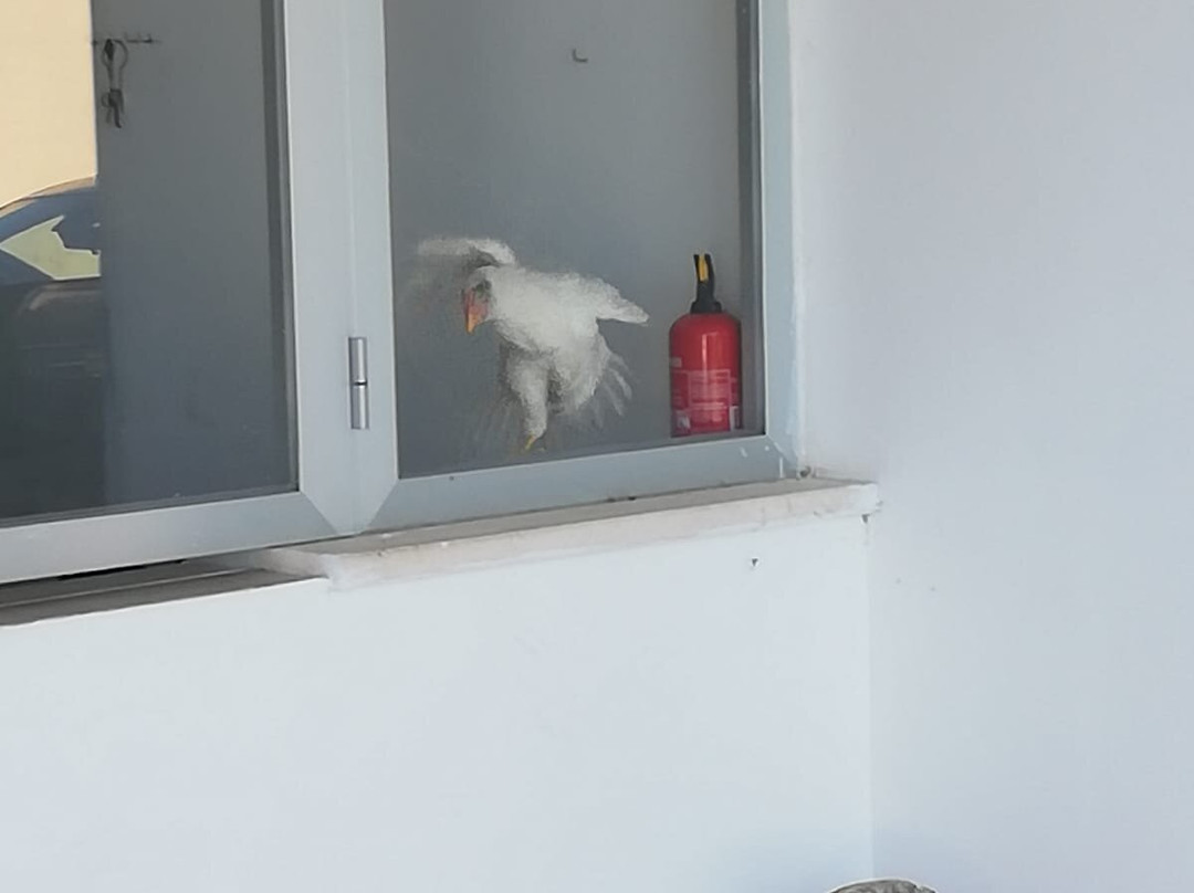 Residence Torre Silvana主图