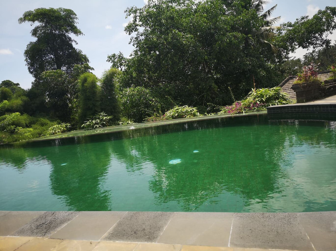 丹拉美那艺术度假村主图