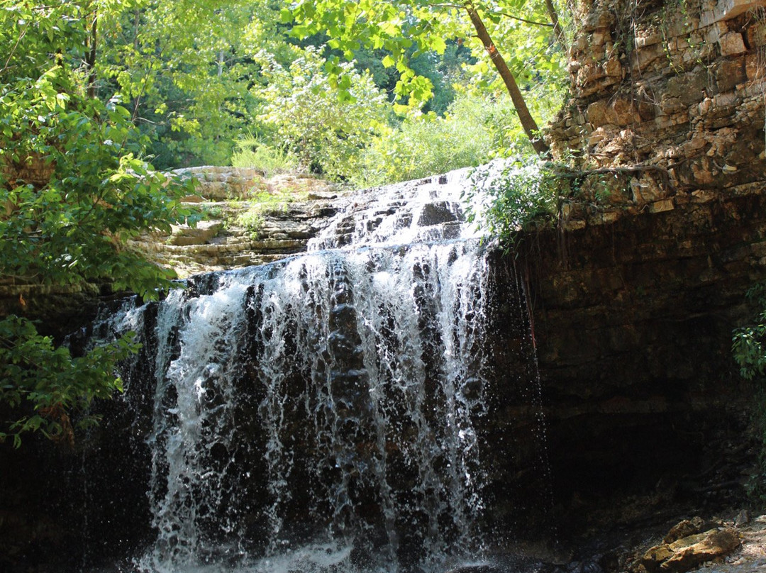 Tanyard Creek Nature Trail景点图片