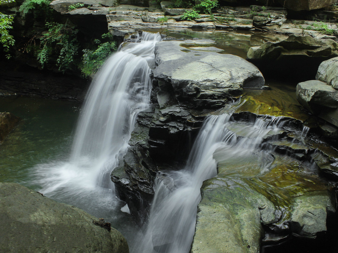 Hawks Nest Rail Trail-Ansted必去景点