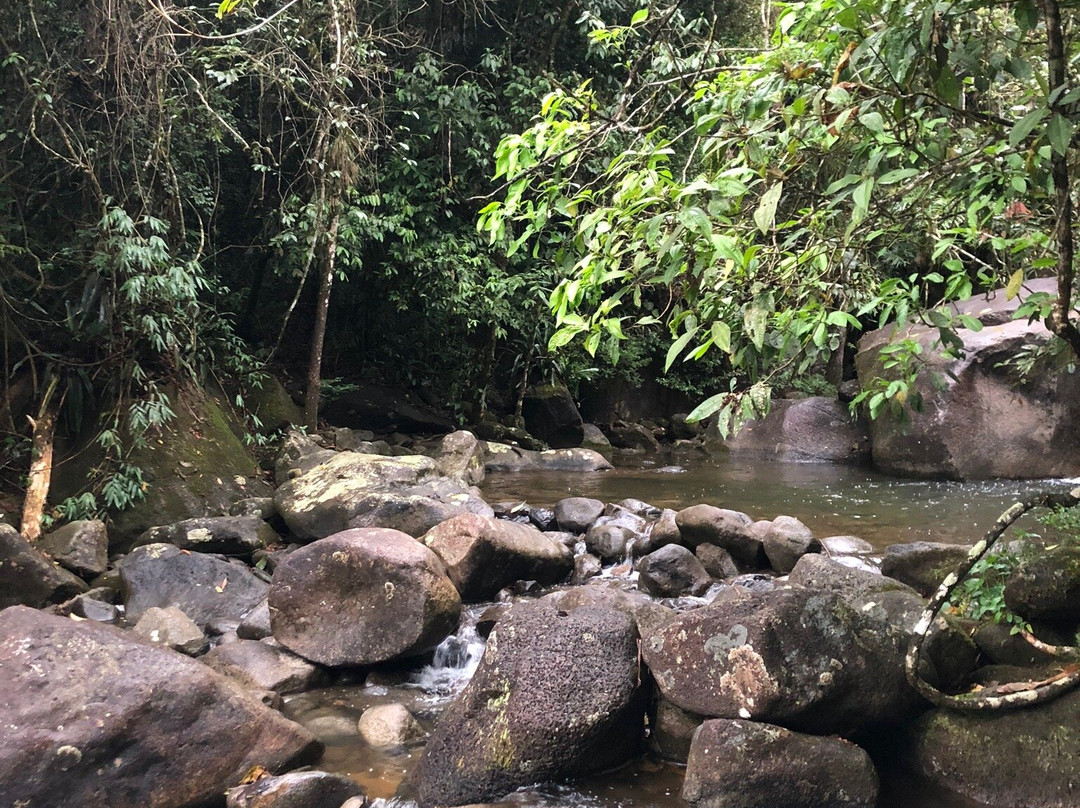 Cachoeiras do Rio Palmital景点图片