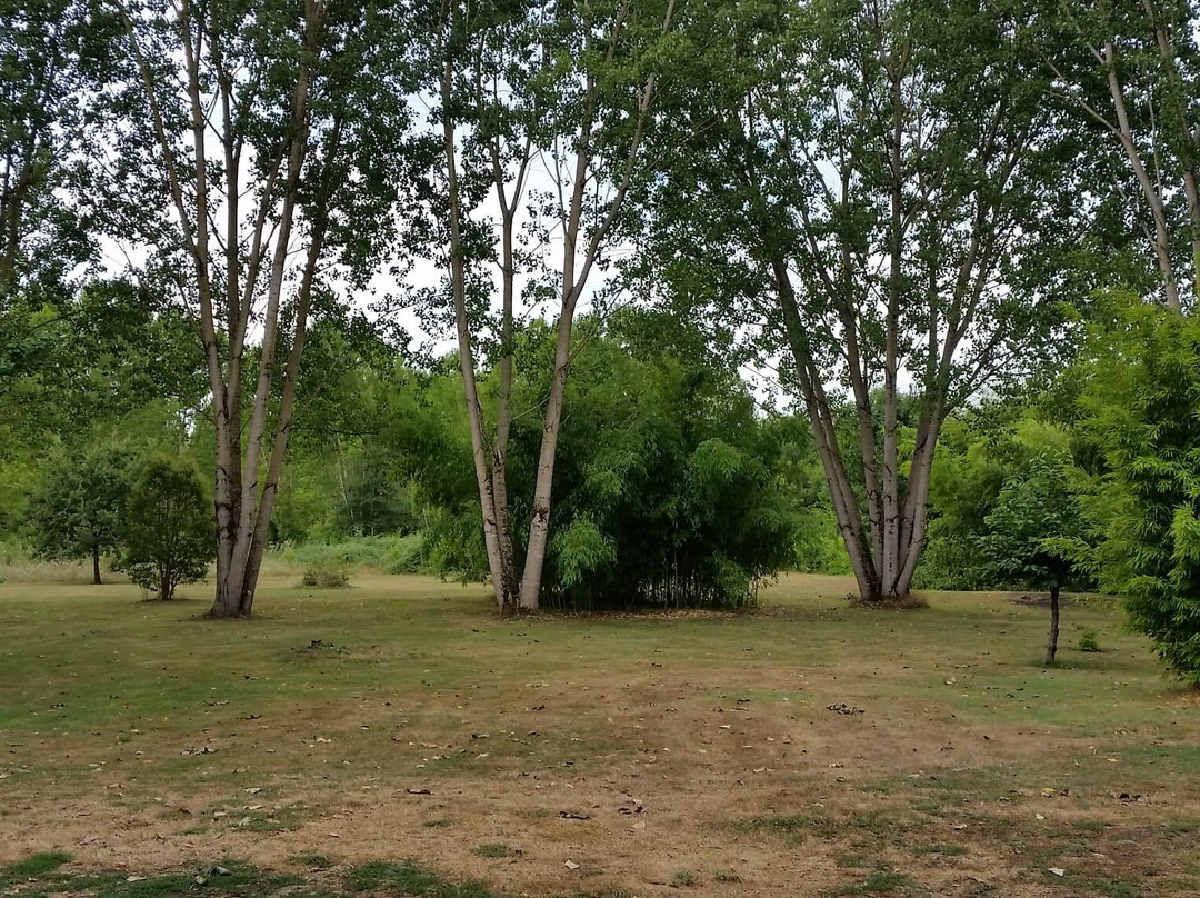 Le Moulin de Tauran主图