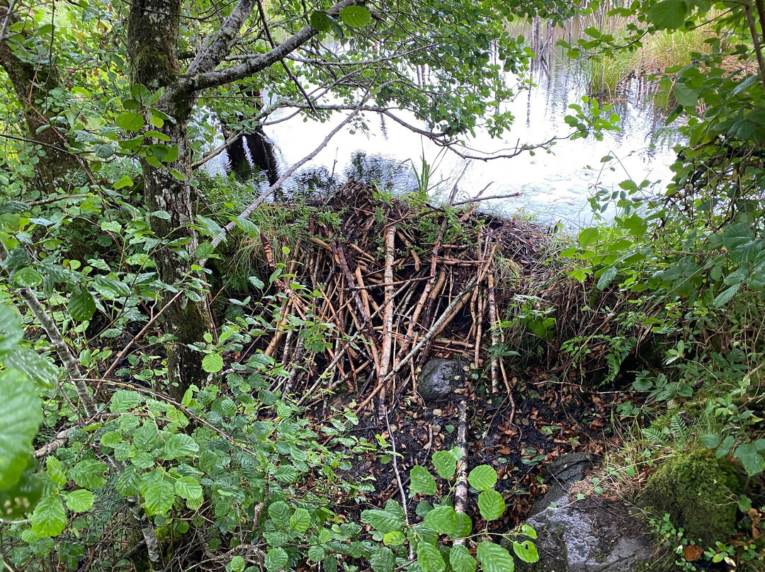 Argyll Beaver Centre-Lochgilphead必去景点