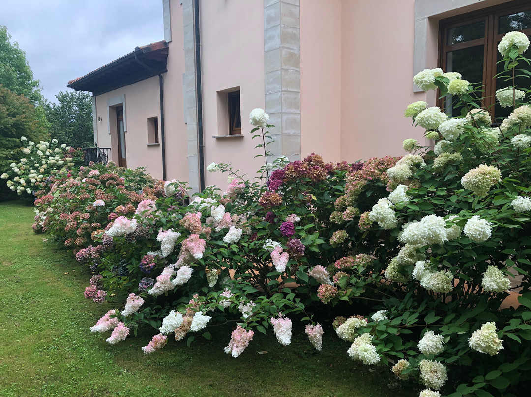 Hotel Rural Arpa de Hierba主图