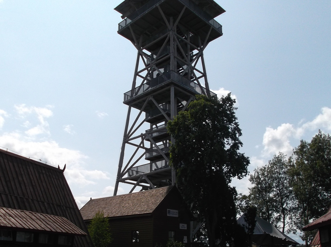 Observation tower in Wdzydze Kiszewskie景点图片
