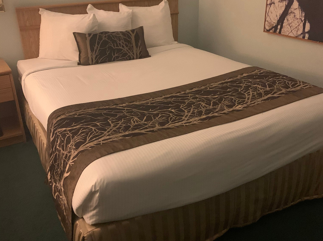 Cedars Inn Hotel & Convention Centre主图