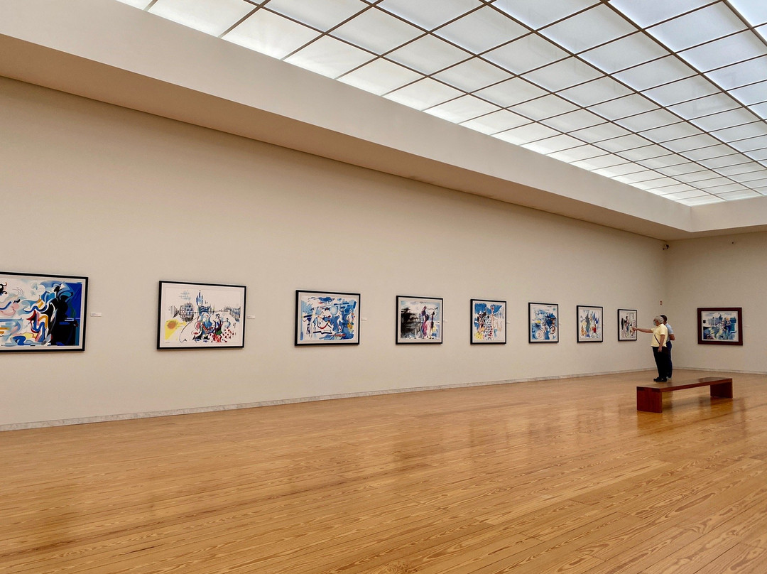 Museu Nadir Afonso景点图片