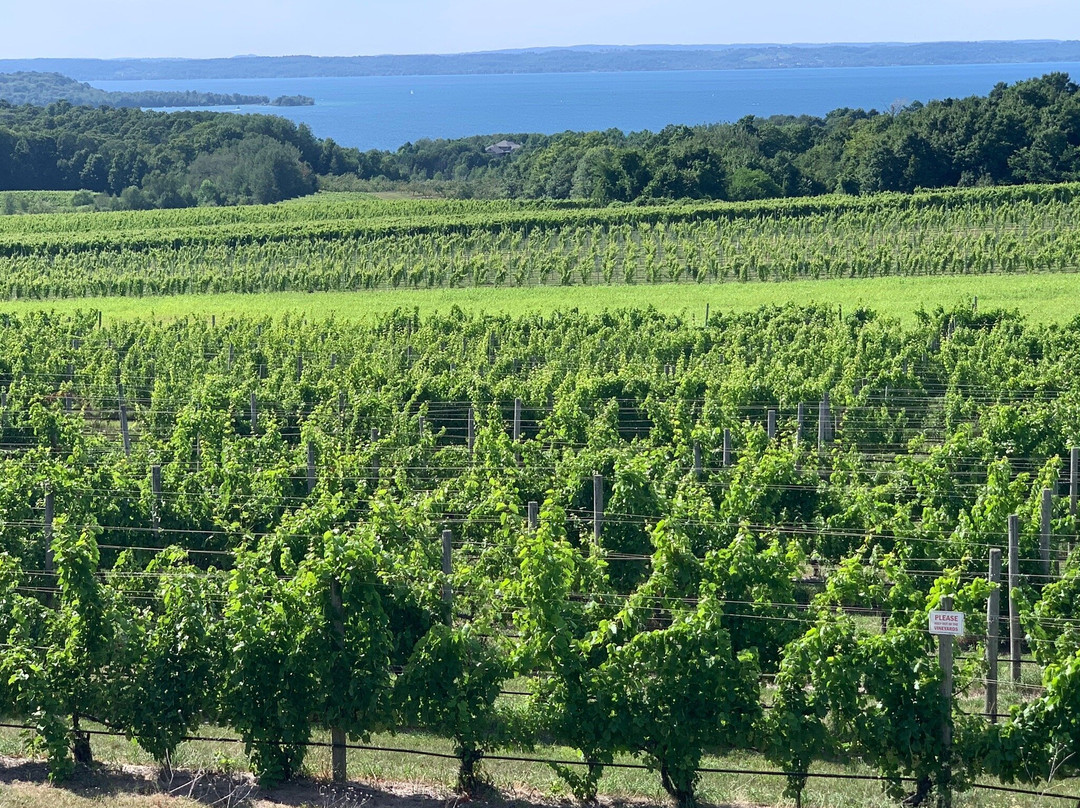 Bowers Harbor Vineyards-特拉弗斯城必去景点